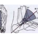 足踝解剖活動(dòng)的研究